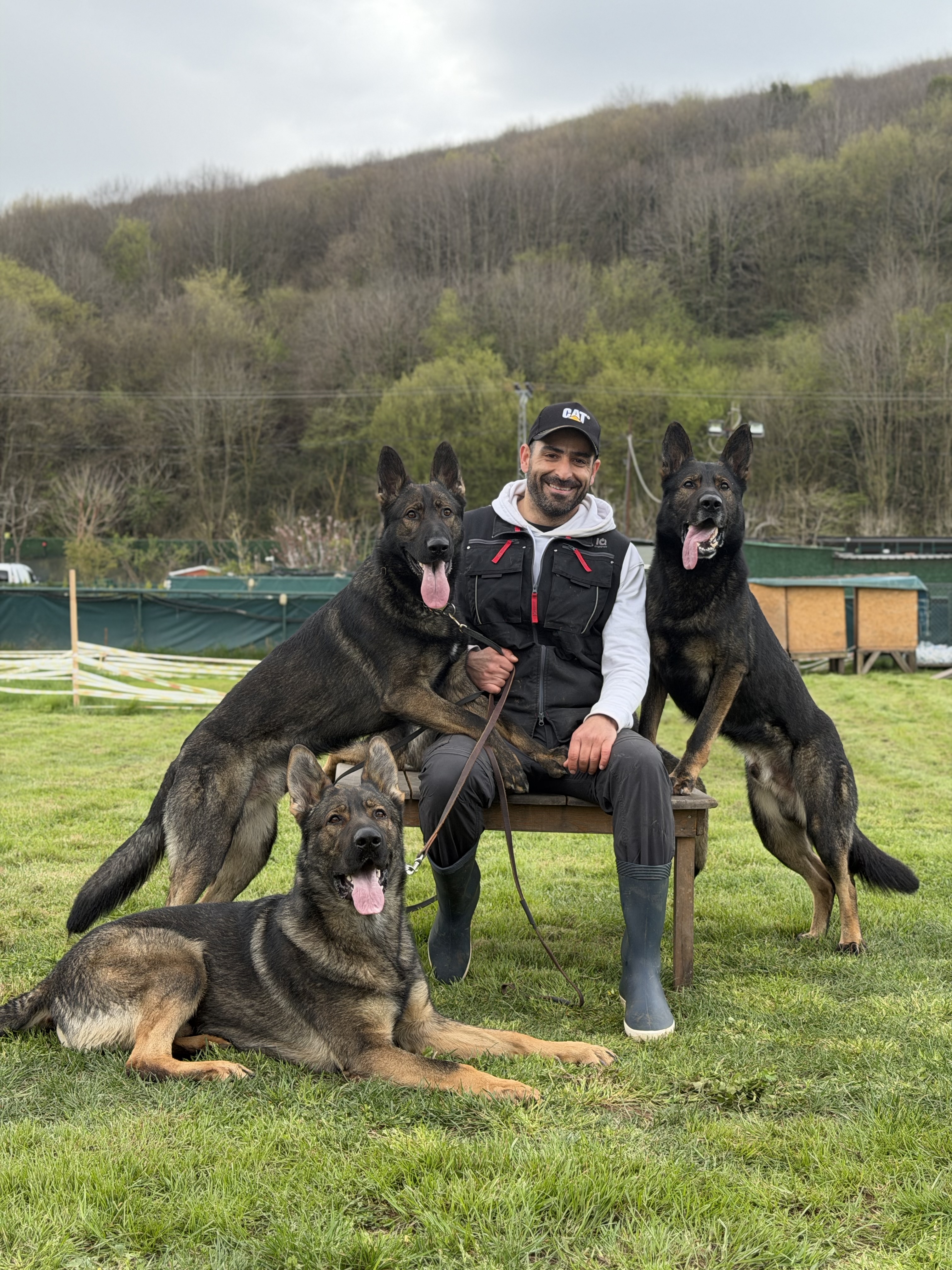 İstanbul köpek eğitmeni ve birebir köpek eğitimi