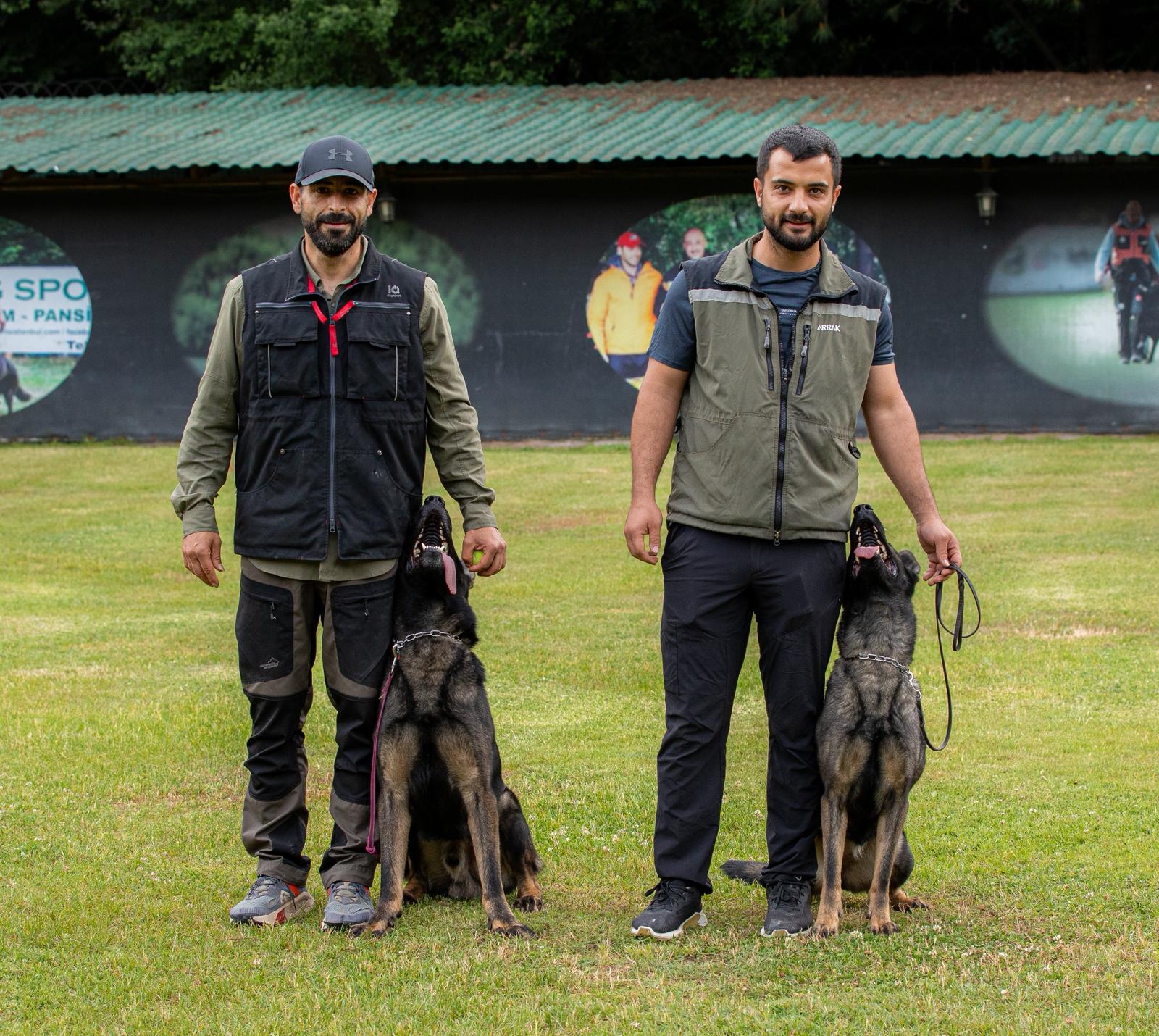 Köpek eğitimi İstanbul galeri fotoğrafı 11