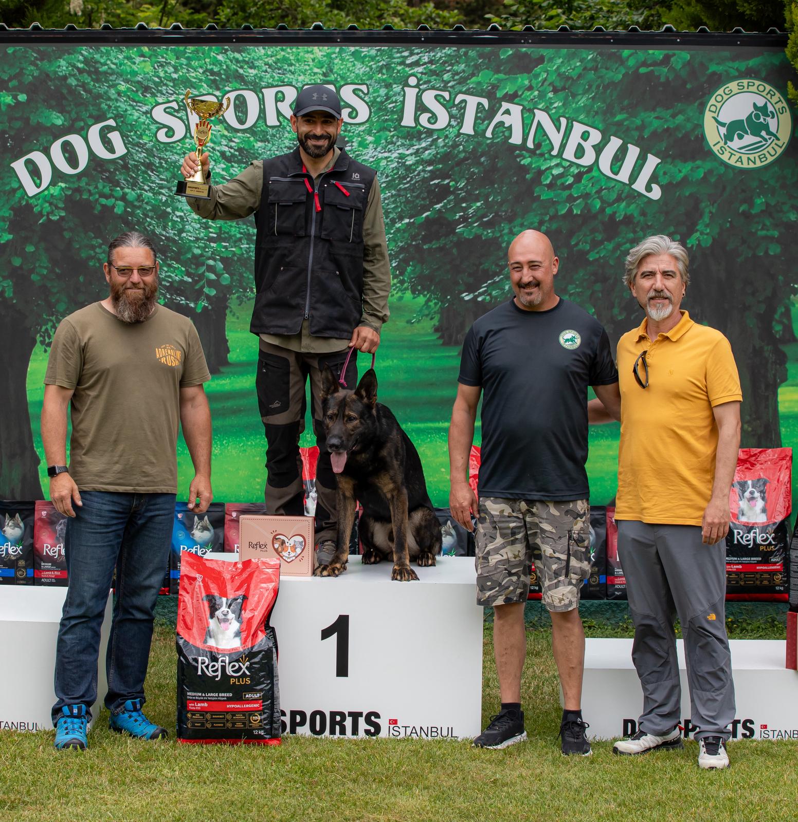 Köpek eğitimi İstanbul galeri fotoğrafı 12