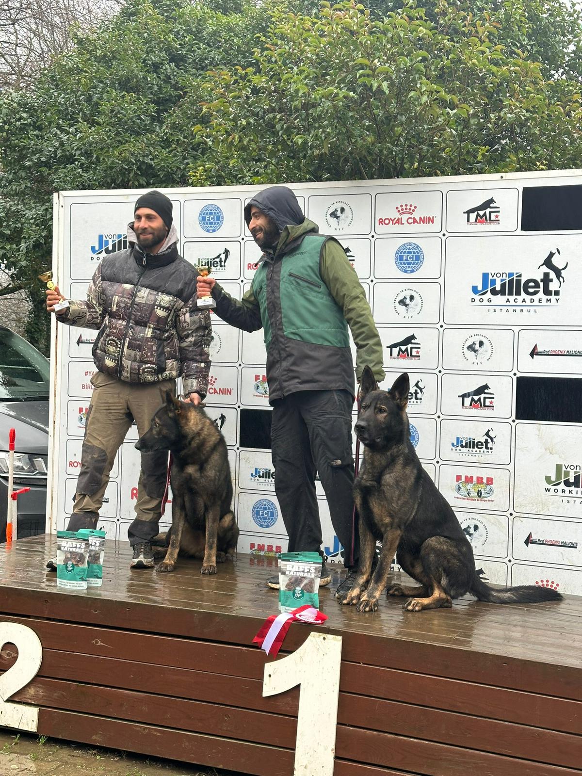 Köpek eğitimi İstanbul galeri fotoğrafı 16