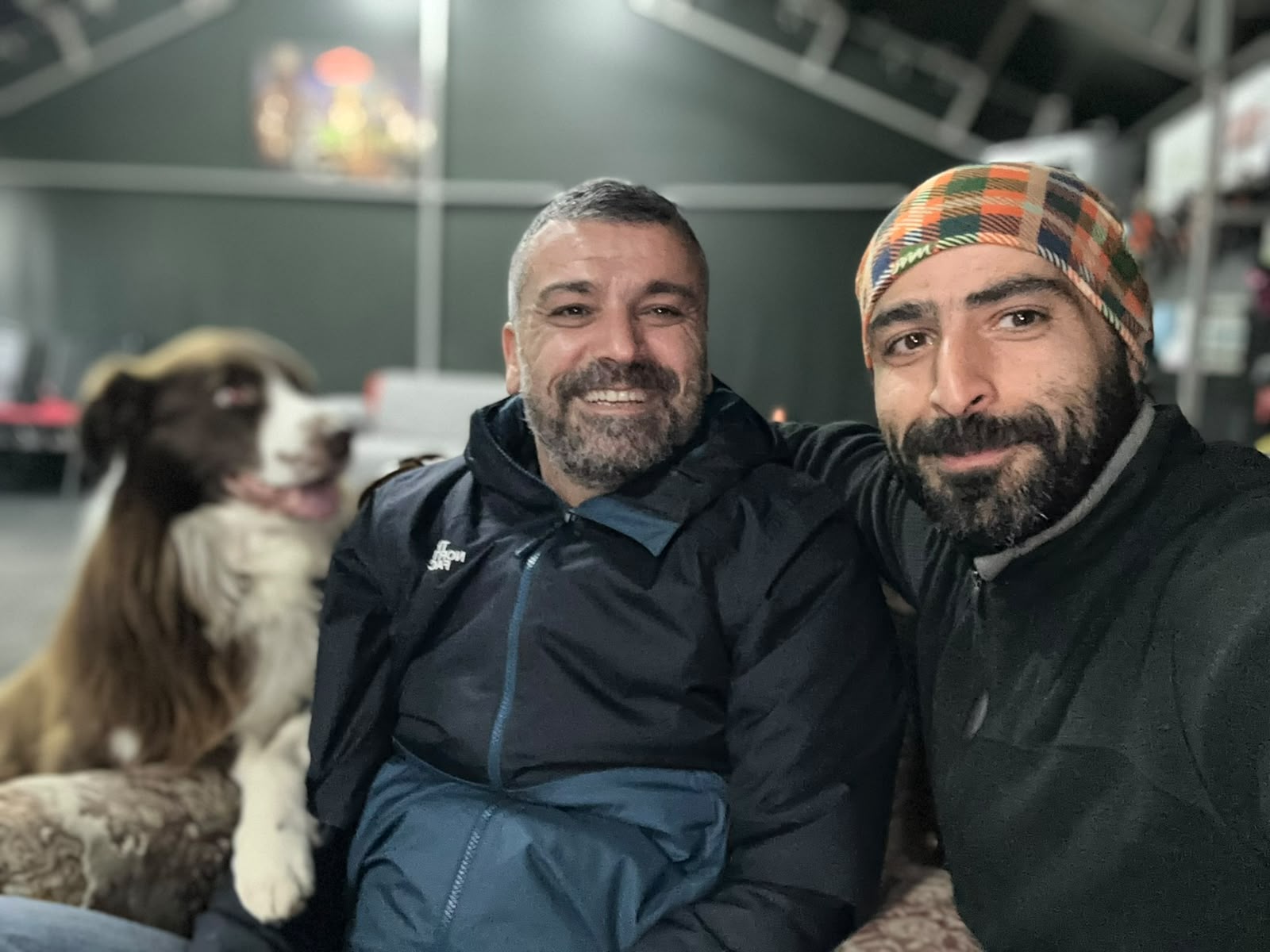 Köpek eğitimi İstanbul galeri fotoğrafı 29