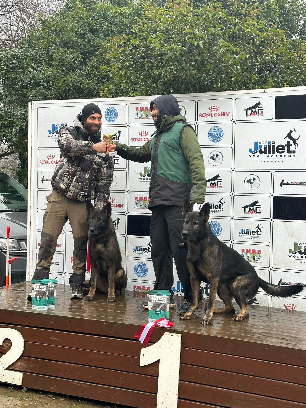 Köpek eğitimi İstanbul galeri fotoğrafı 34