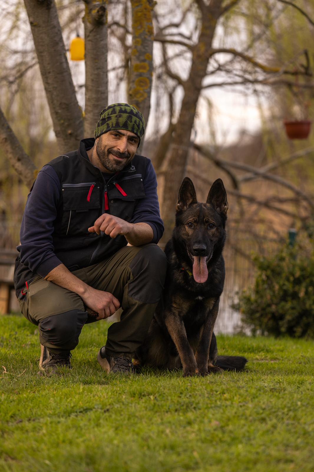 Köpek eğitimi İstanbul galeri fotoğrafı 4
