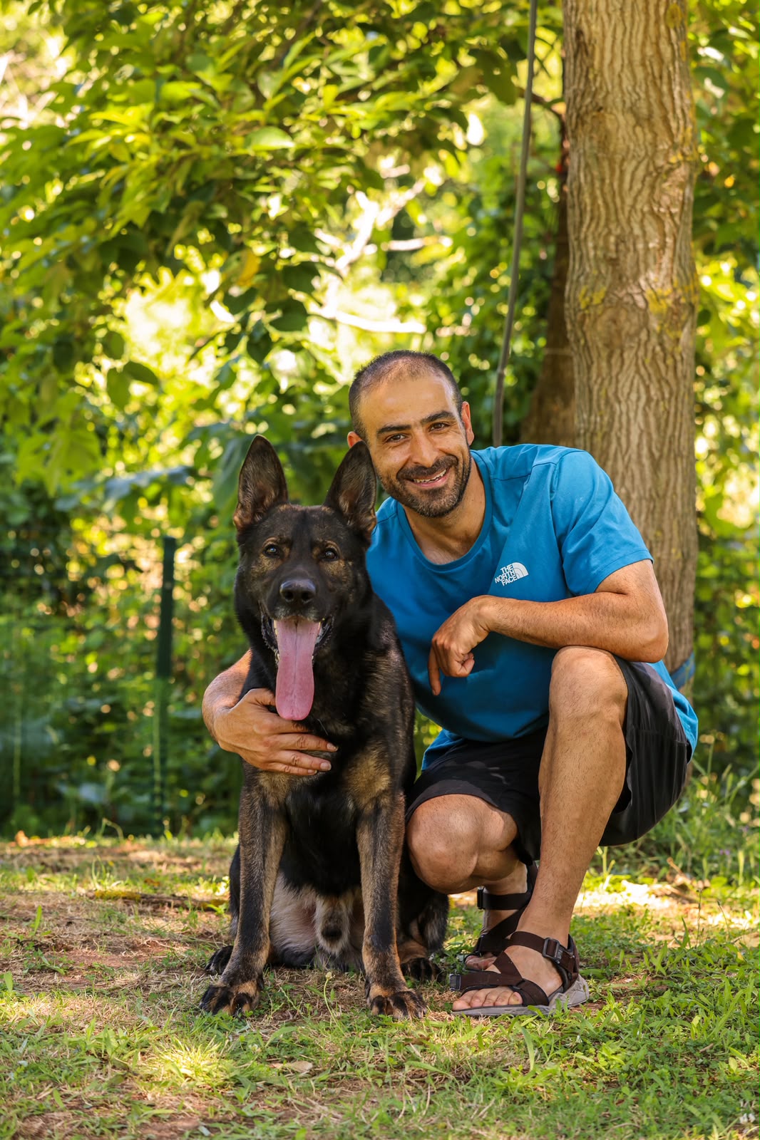 Köpek eğitimi İstanbul galeri fotoğrafı 43