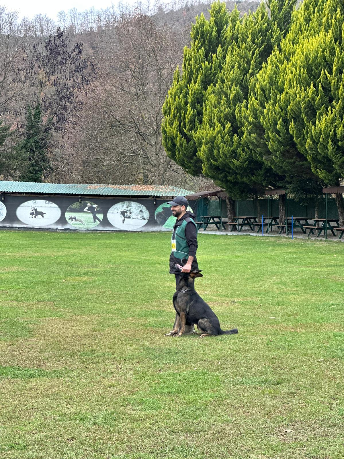 Köpek eğitimi İstanbul galeri fotoğrafı 5