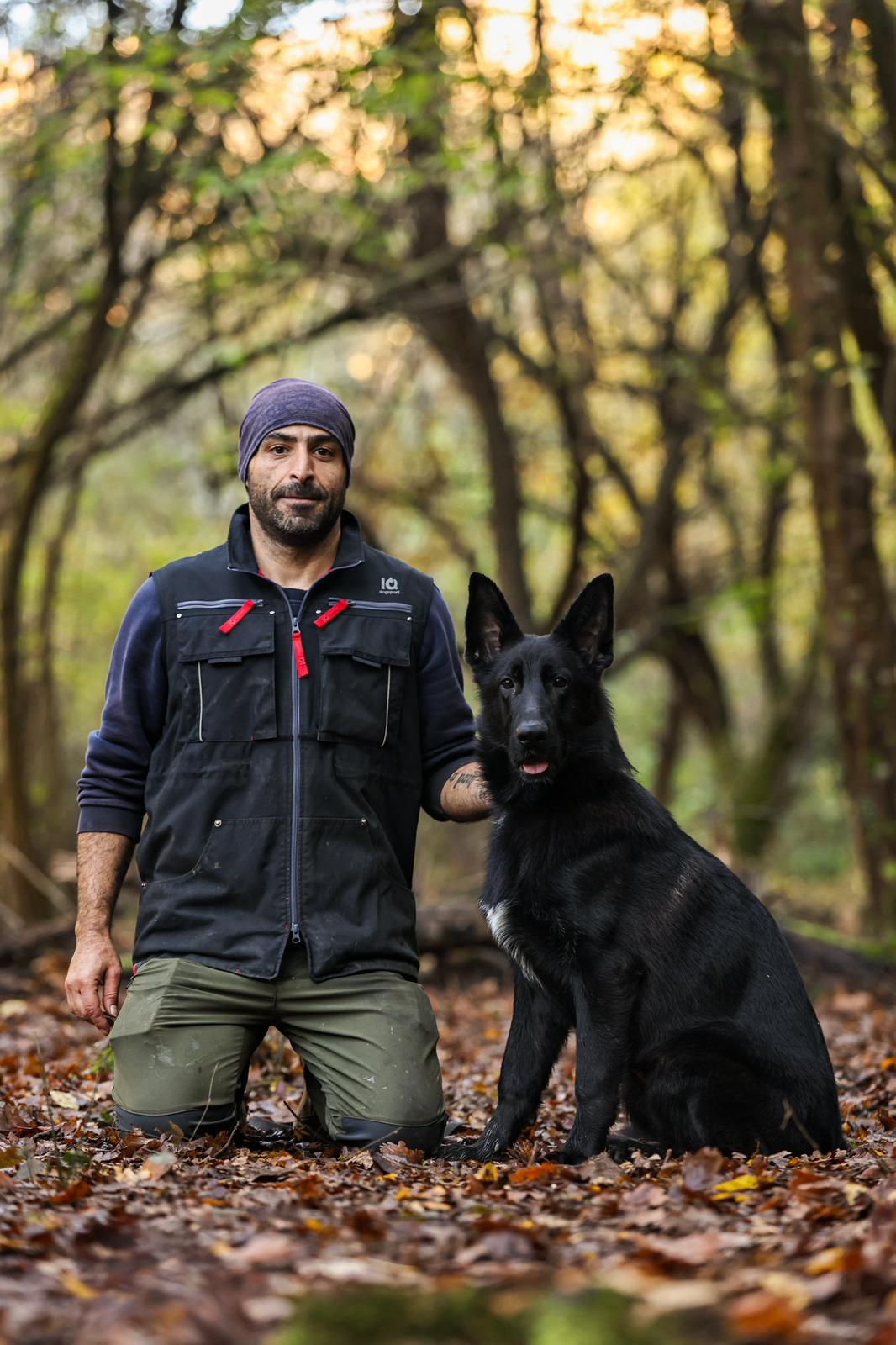 Köpek eğitimi İstanbul galeri fotoğrafı 6