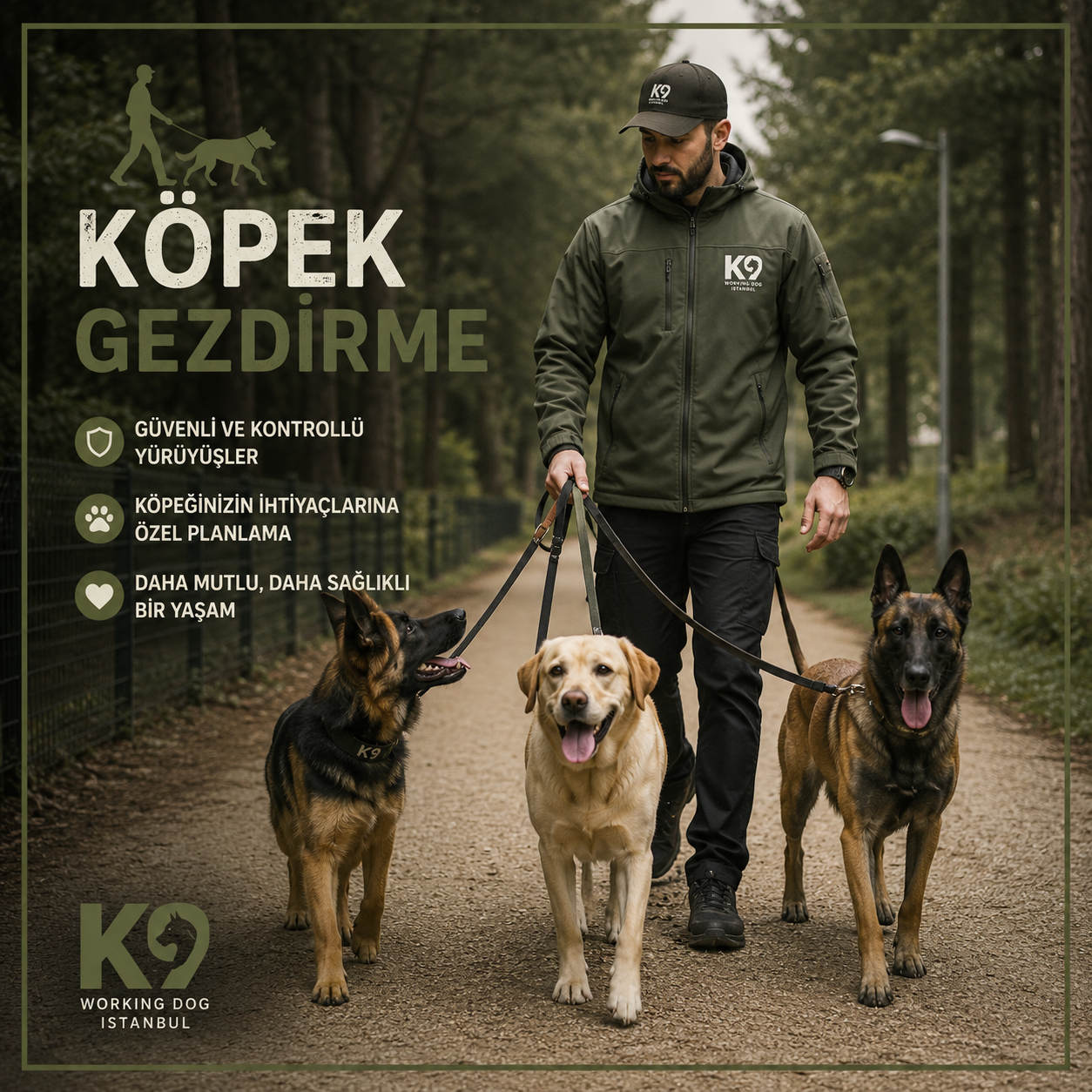 Köpek gezdirme ve Dog Walker İstanbul hizmeti